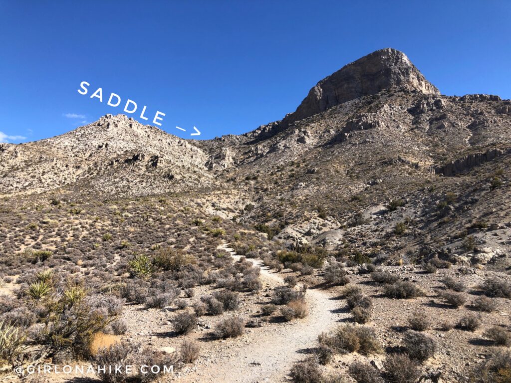 Hiking to Turtlehead Peak, Red Rock Canyon National Conservation Area