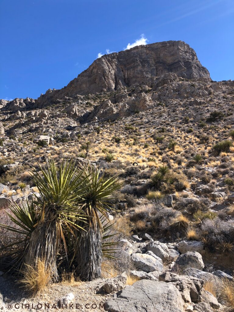 Hiking to Turtlehead Peak, Red Rock Canyon National Conservation Area