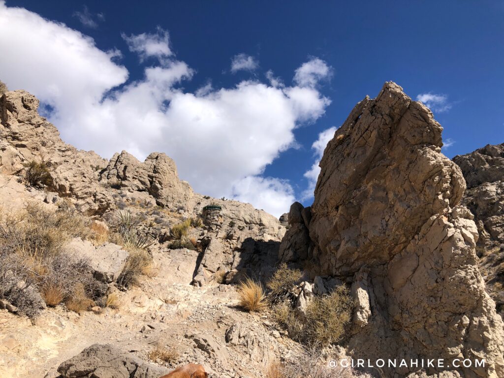 Hiking to Turtlehead Peak, Red Rock Canyon National Conservation Area
