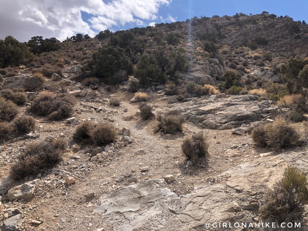 Hiking to Turtlehead Peak, Red Rock Canyon National Conservation Area