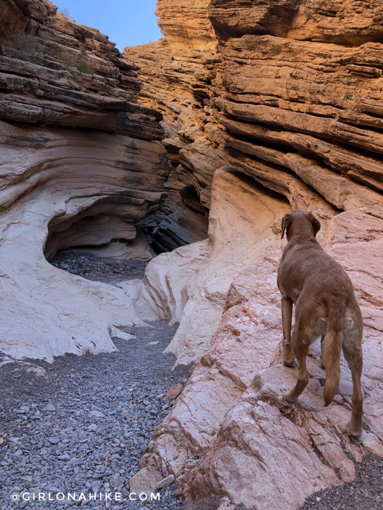 Hiking the Anniversary Narrows Slot Canyon, Nevada