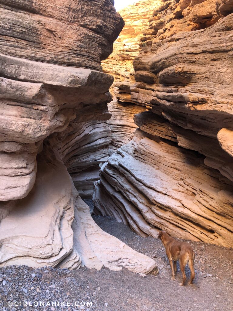 Hiking the Anniversary Narrows Slot Canyon, Nevada