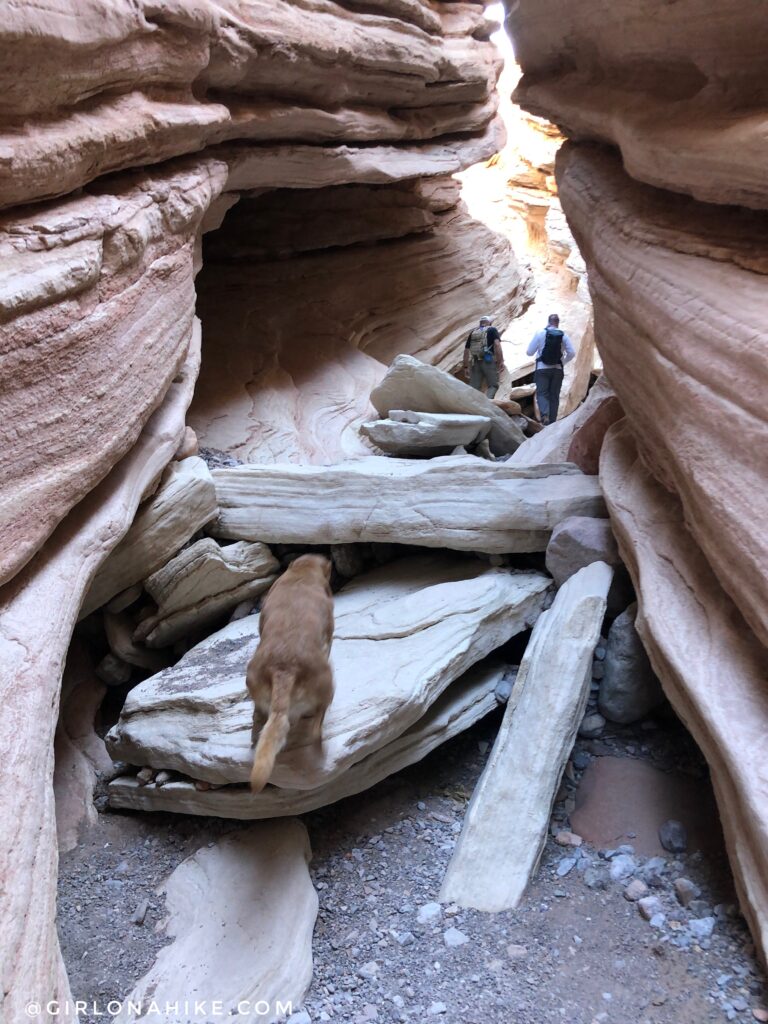 Hiking the Anniversary Narrows Slot Canyon, Nevada