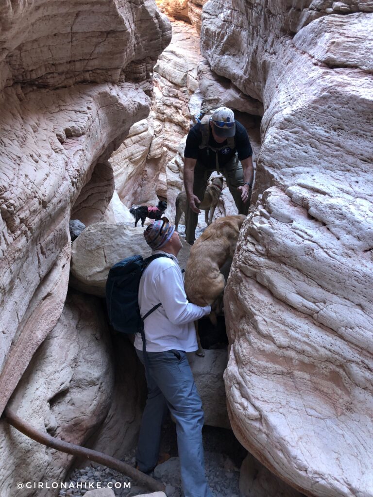 Hiking the Anniversary Narrows Slot Canyon, Nevada