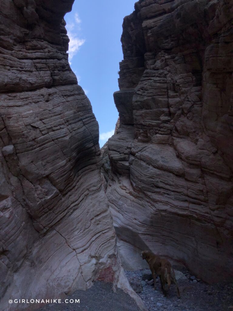 Hiking the Anniversary Narrows Slot Canyon, Nevada
