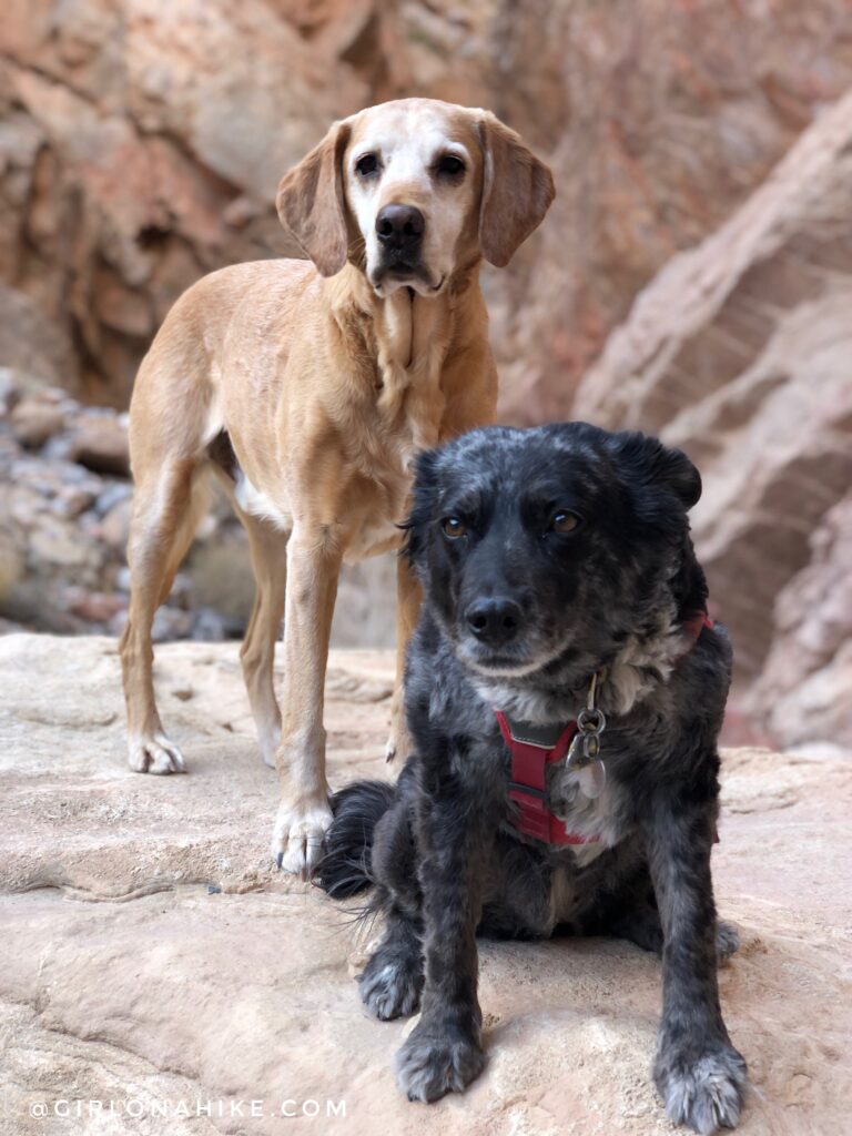 Hiking the Anniversary Narrows Slot Canyon, Nevada