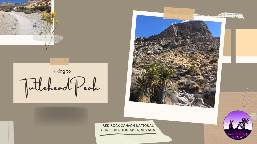 Turtlehead Peak, Red Rock Canyon National Conservation Area