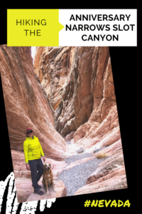 Hiking the Anniversary Narrows Slot Canyon, Nevada