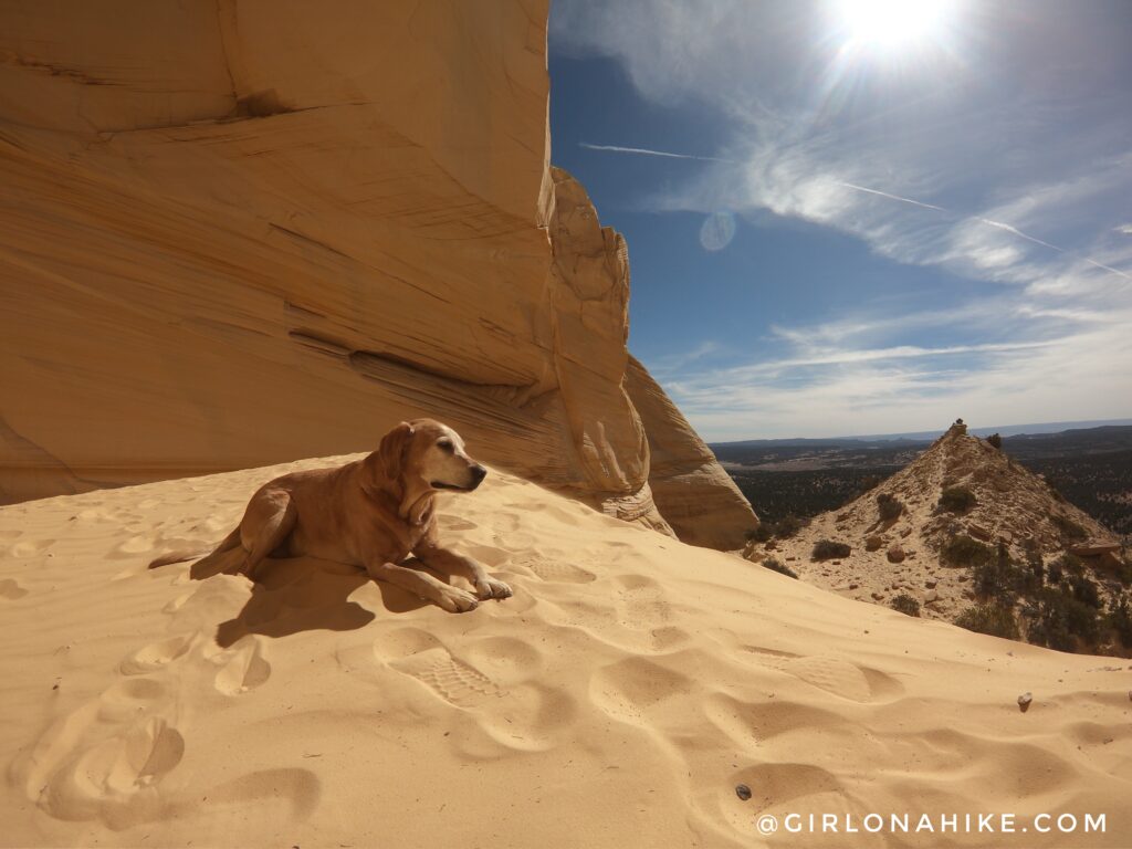 Visiting The Great Chamber, Cutler Point