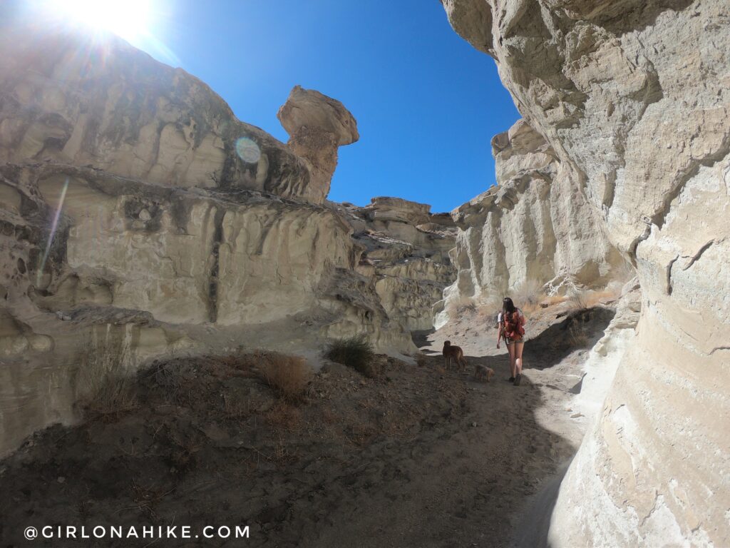 Hiking to Wiregrass Canyon Arch, Lake Powell