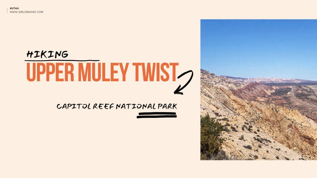 Hiking Upper Muley Twist, Capitol Reef National Park