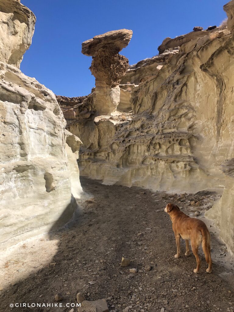 Hiking to Wiregrass Canyon Arch, Lake Powell