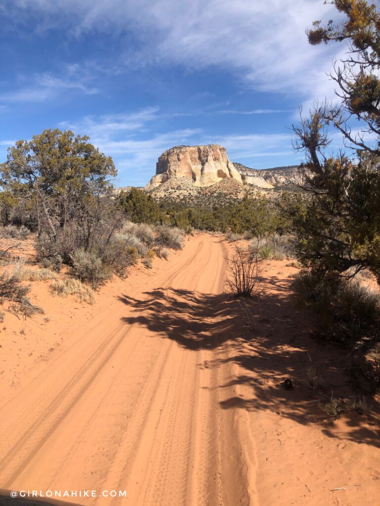 Visiting The Great Chamber, Cutler Point