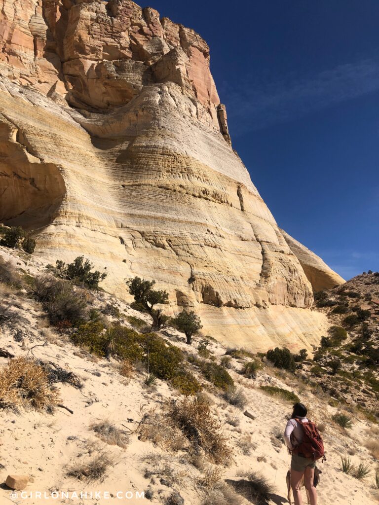 Visiting The Great Chamber, Cutler Point