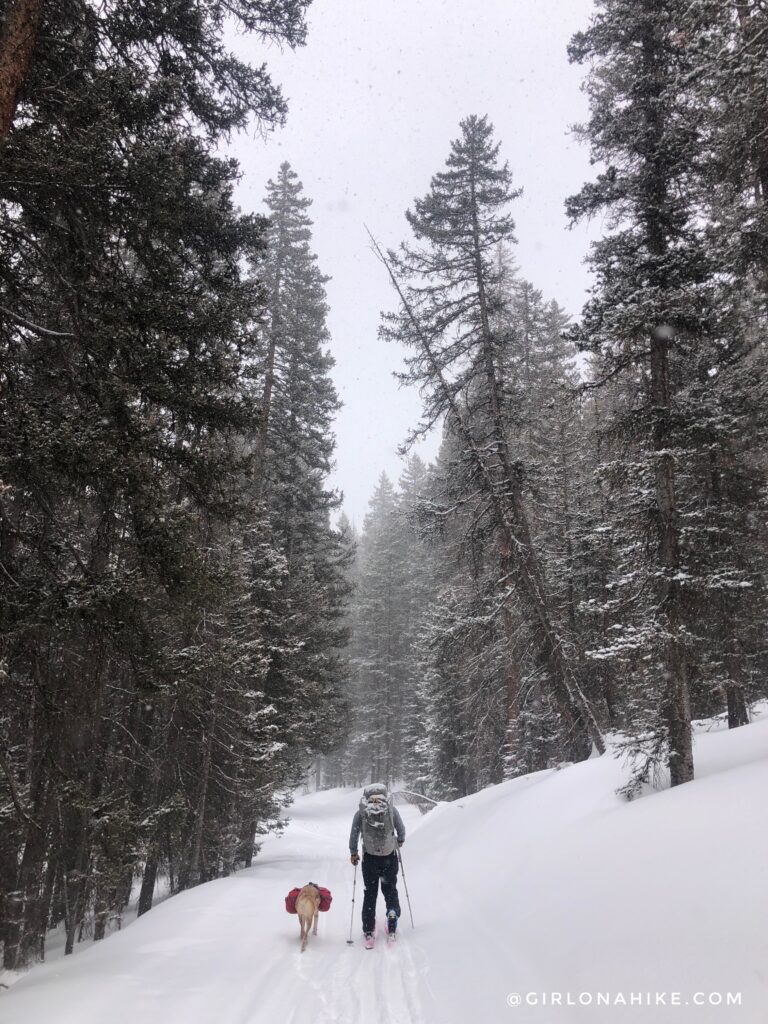 Lodging at the Geyser Pass Yurt, Backcountry Skiing Geyser Pass