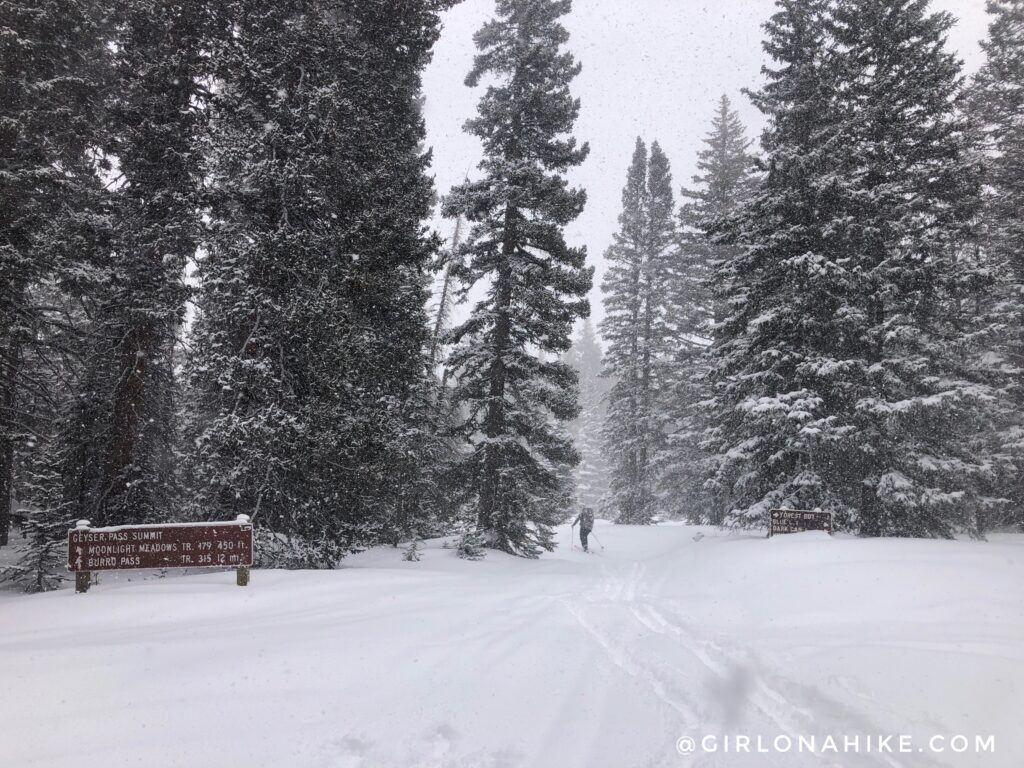 Lodging at the Geyser Pass Yurt, Backcountry Skiing Geyser Pass