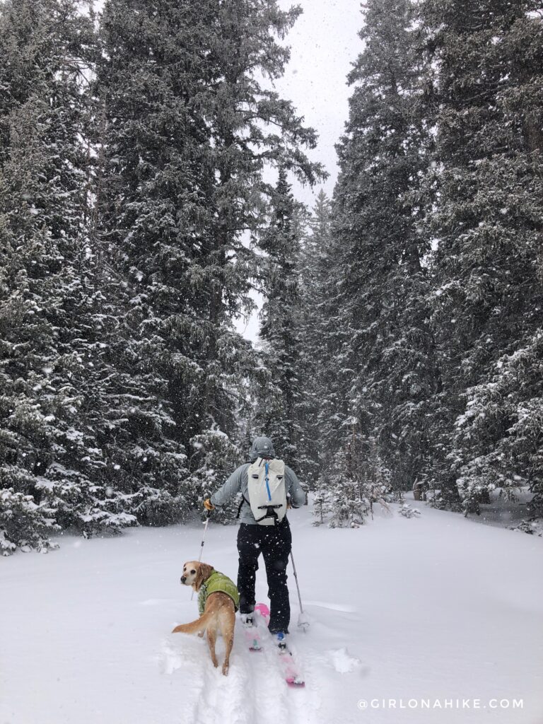 Lodging at the Geyser Pass Yurt, Backcountry Skiing Geyser Pass