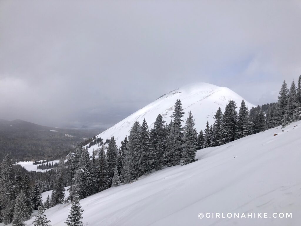 Lodging at the Geyser Pass Yurt, Backcountry Skiing Geyser Pass