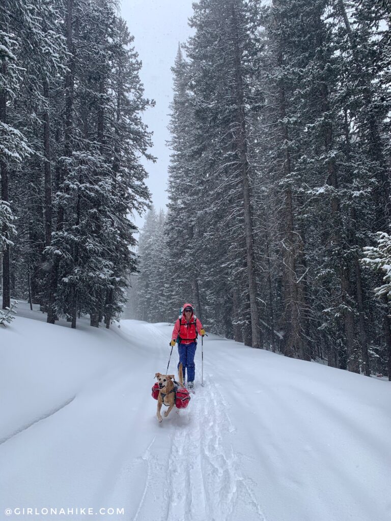 Lodging at the Geyser Pass Yurt, Backcountry Skiing Geyser Pass