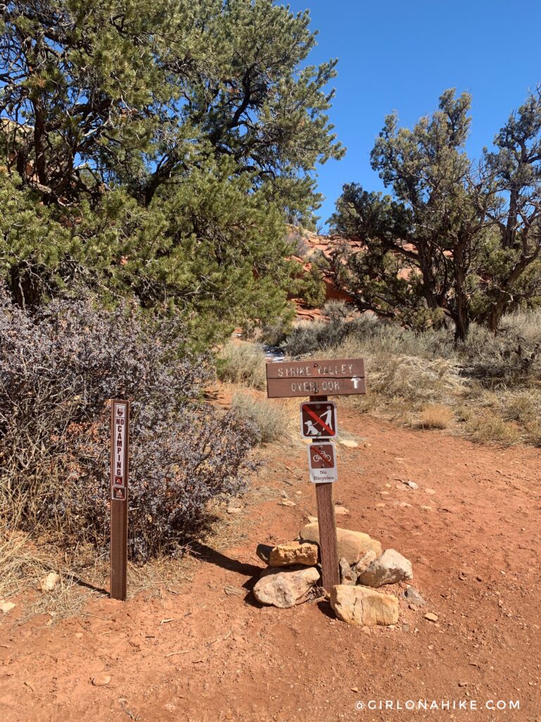 Hiking Upper Muley Twist, Capitol Reef National Park