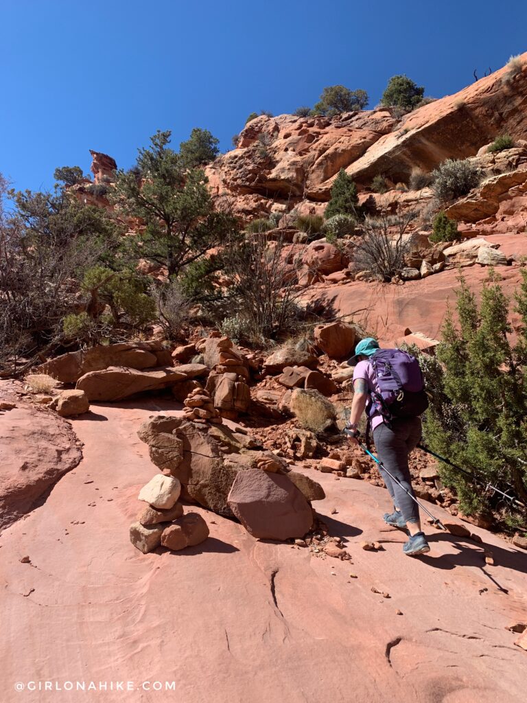 Hiking Upper Muley Twist, Capitol Reef National Park