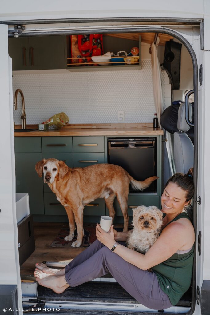 Hippy Digs Camper Van Rental