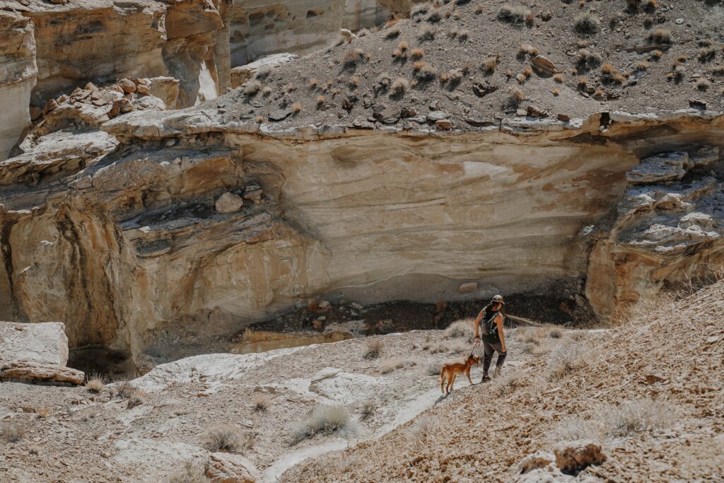 Hiking to Wiregrass Canyon Arch, Lake Powell