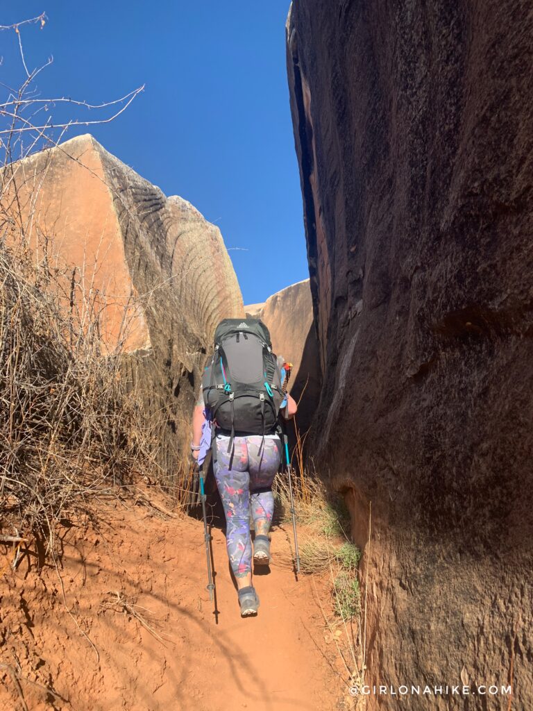 Backpacking Kane Gulch to Bullet Canyon, Cedar Mesa