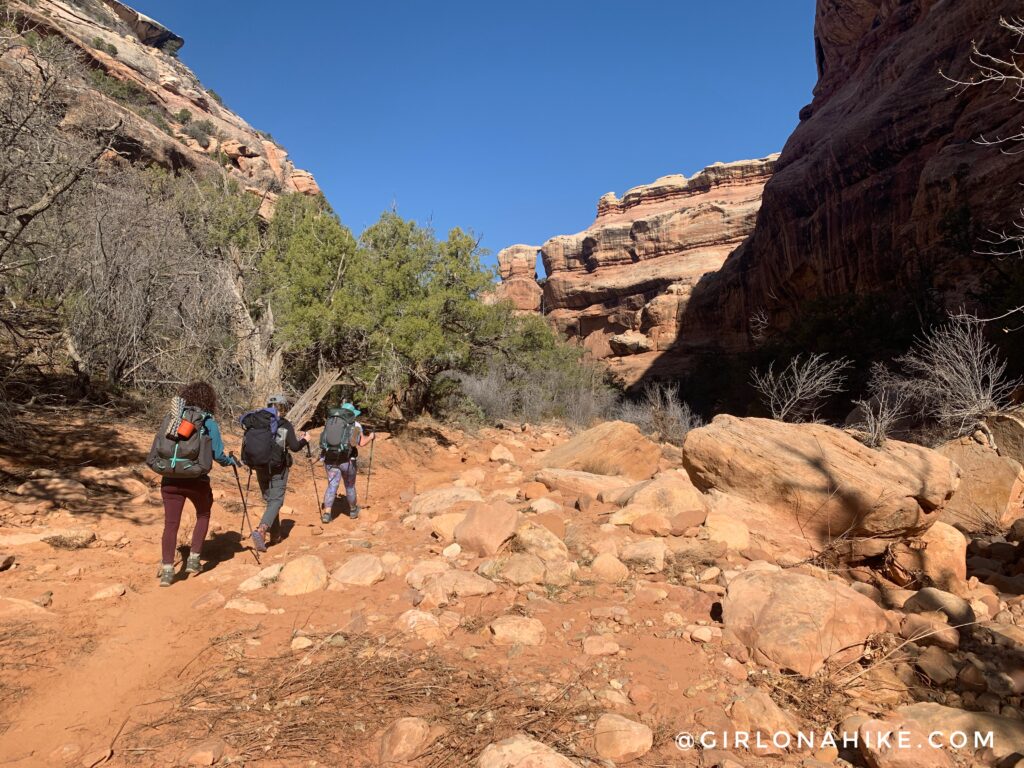 Backpacking Kane Gulch to Bullet Canyon, Cedar Mesa