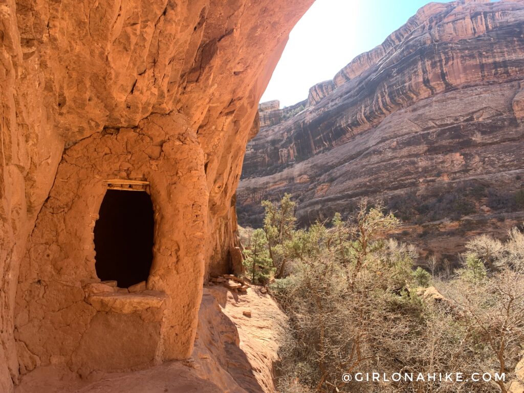 Backpacking Kane Gulch to Bullet Canyon, Cedar Mesa