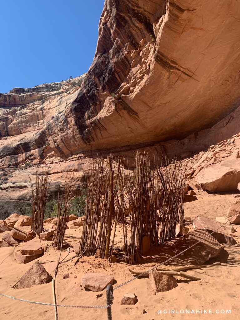 Backpacking Kane Gulch to Bullet Canyon, Cedar Mesa