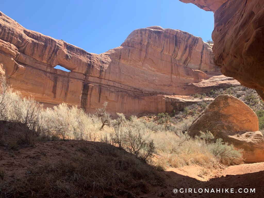 Backpacking Kane Gulch to Bullet Canyon, Cedar Mesa