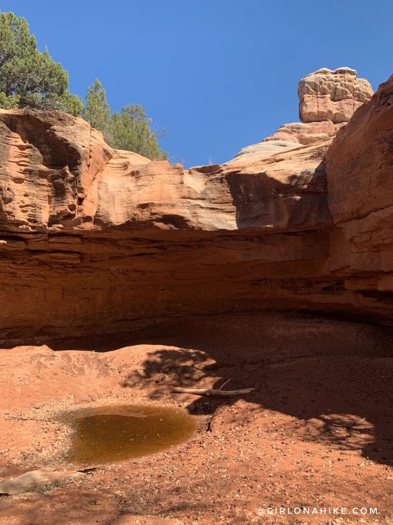 Backpacking Kane Gulch to Bullet Canyon, Cedar Mesa