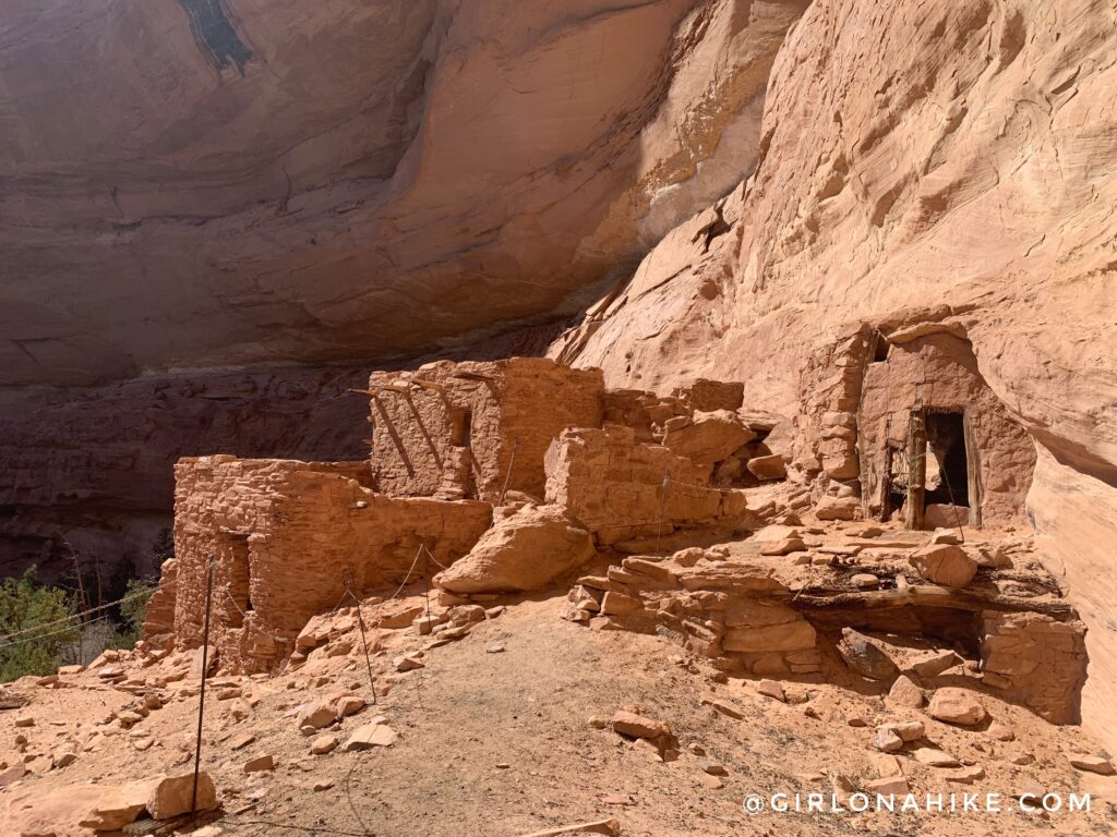 Backpacking Kane Gulch to Bullet Canyon, Cedar Mesa