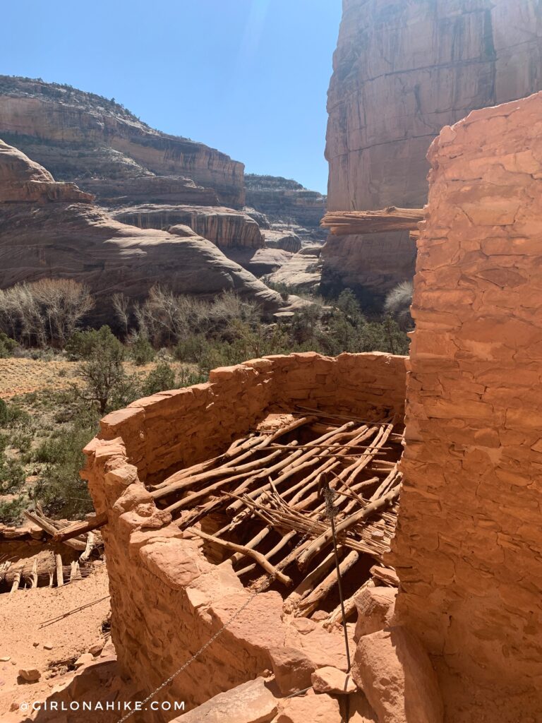 Backpacking Kane Gulch to Bullet Canyon, Cedar Mesa