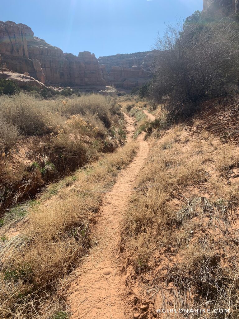 Backpacking Kane Gulch to Bullet Canyon, Cedar Mesa