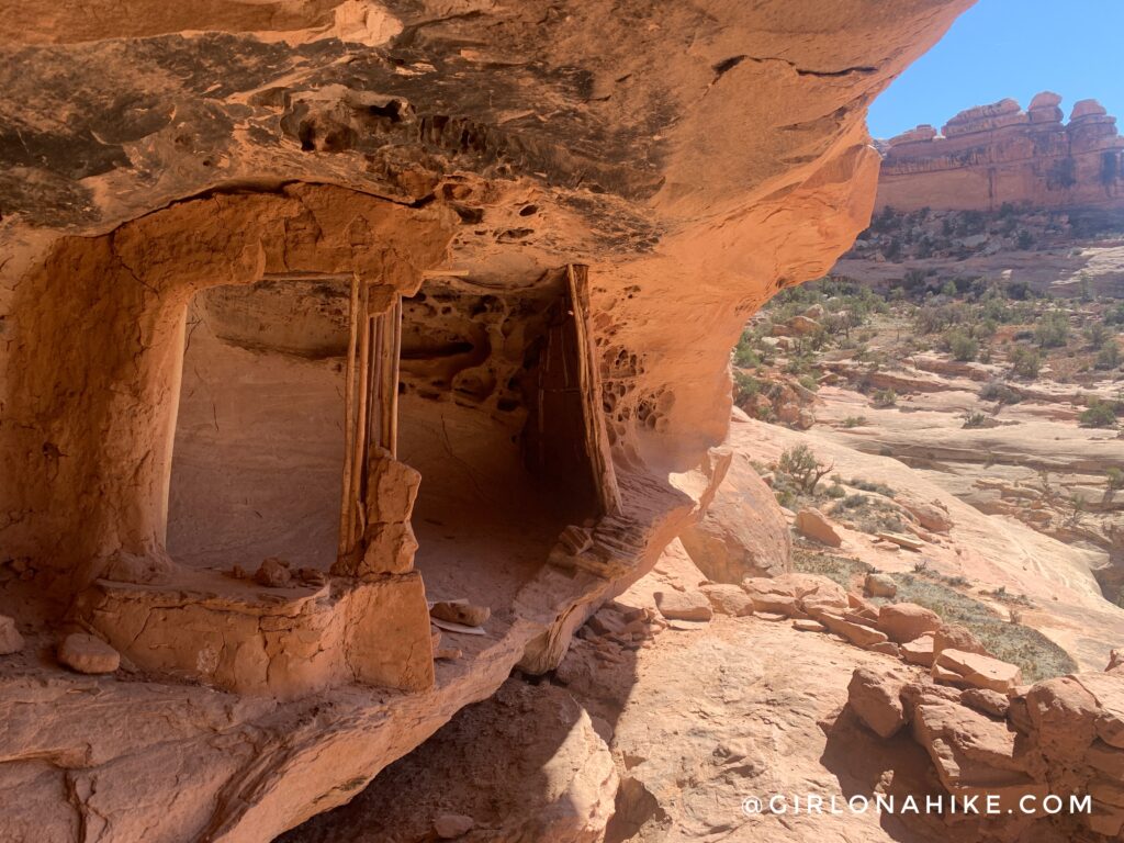 Backpacking Kane Gulch to Bullet Canyon, Cedar Mesa