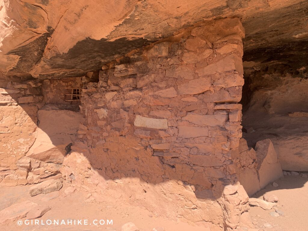 Backpacking Kane Gulch to Bullet Canyon, Cedar Mesa