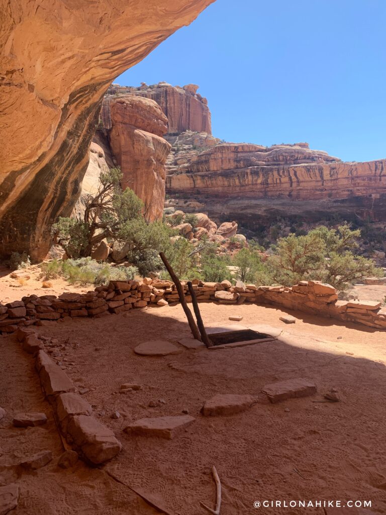 Backpacking Kane Gulch to Bullet Canyon, Cedar Mesa