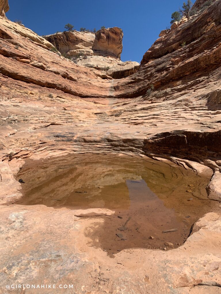 Backpacking Kane Gulch to Bullet Canyon, Cedar Mesa