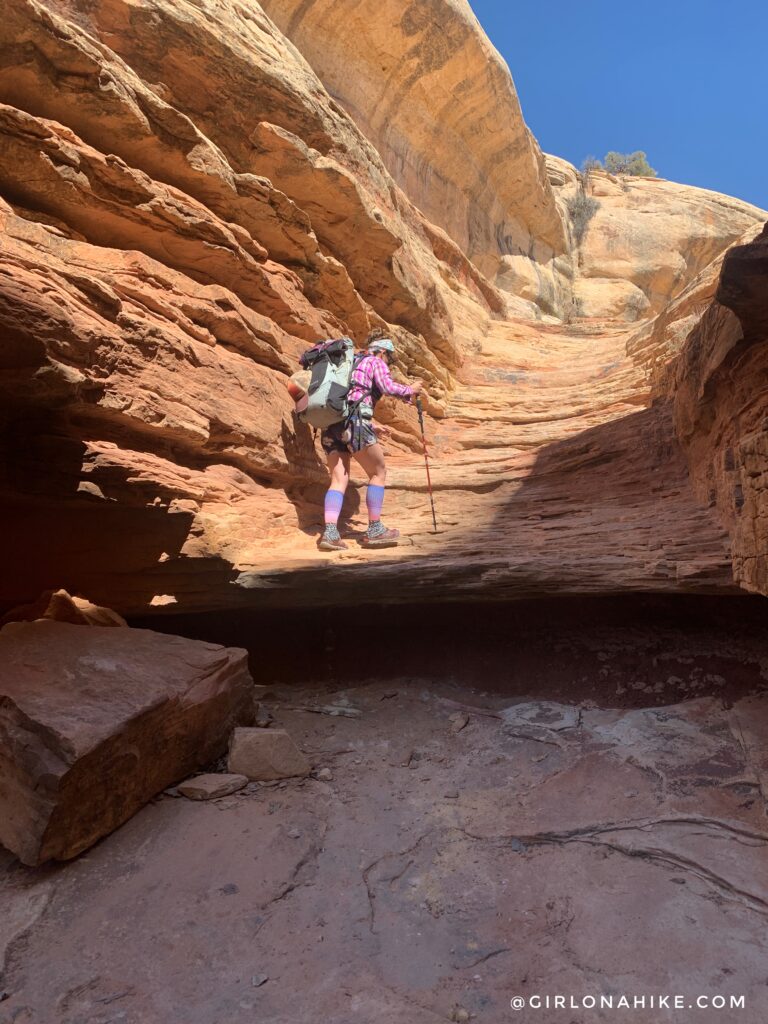 Backpacking Kane Gulch to Bullet Canyon, Cedar Mesa