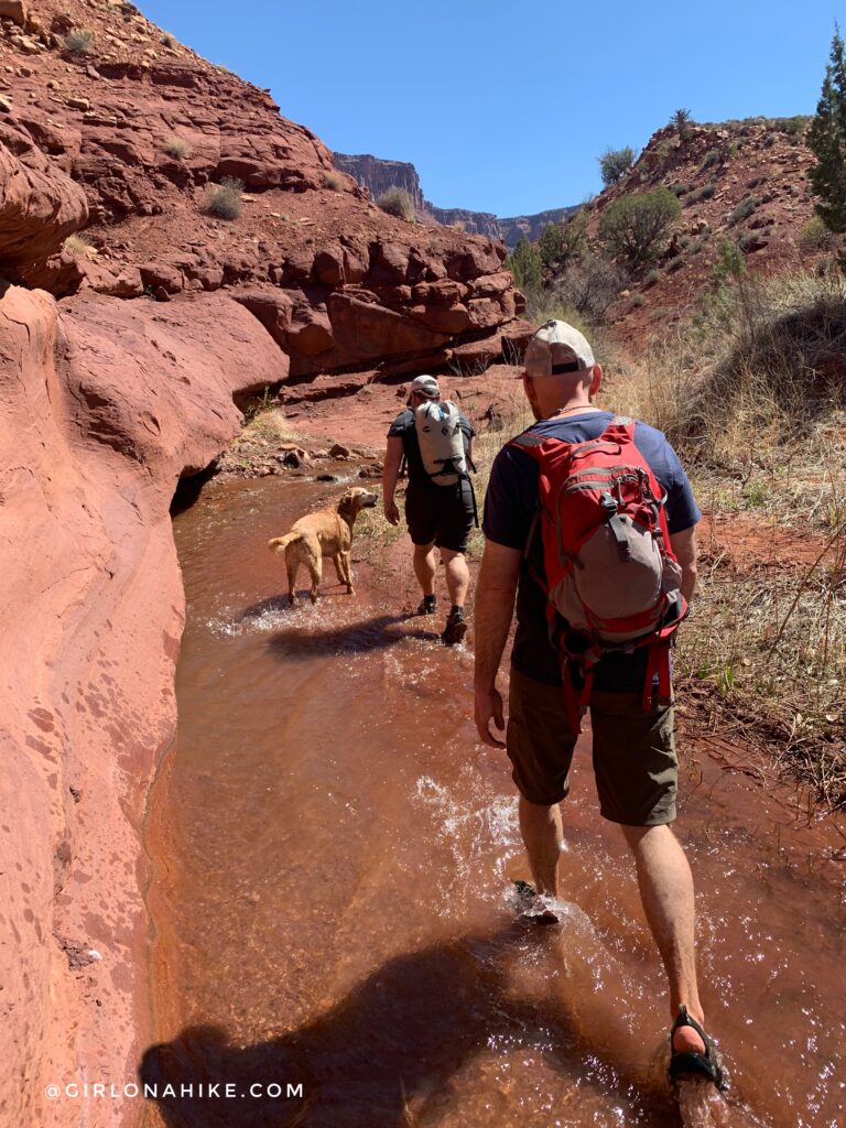 Hiking Mary Jane Slot Canyon, Moab