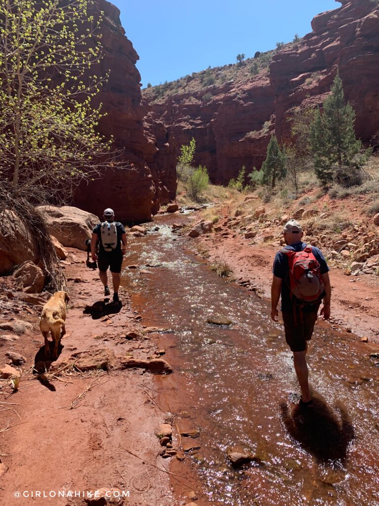 mary jane slot canyon water