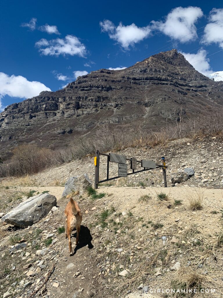 Hiking to Lost Creek Falls, Provo Canyon