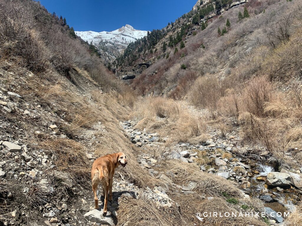 Hiking to Lost Creek Falls, Provo Canyon