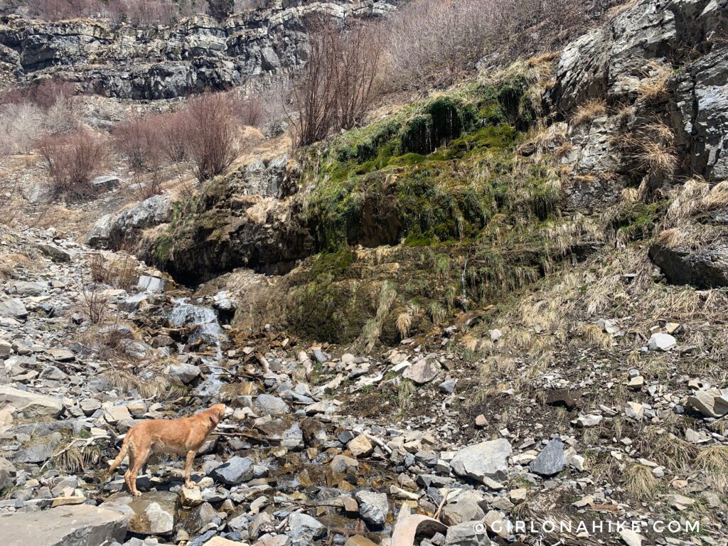 Hiking to Lost Creek Falls, Provo Canyon