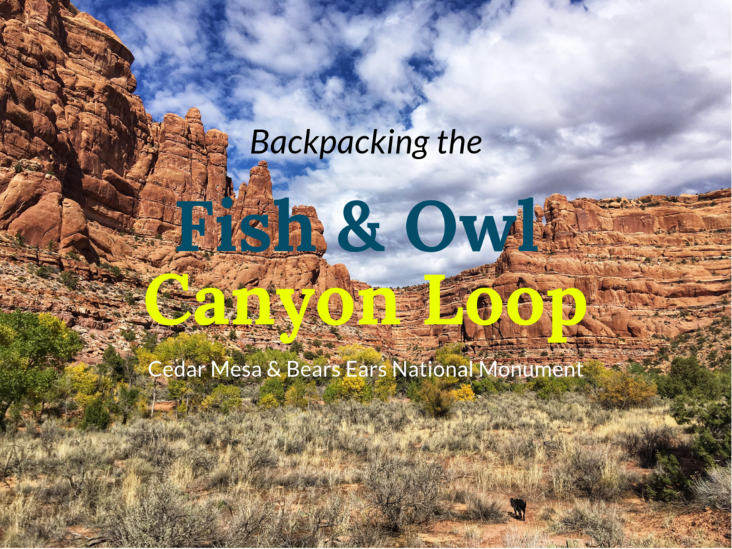 Backpacking Fish & Owl Canyon