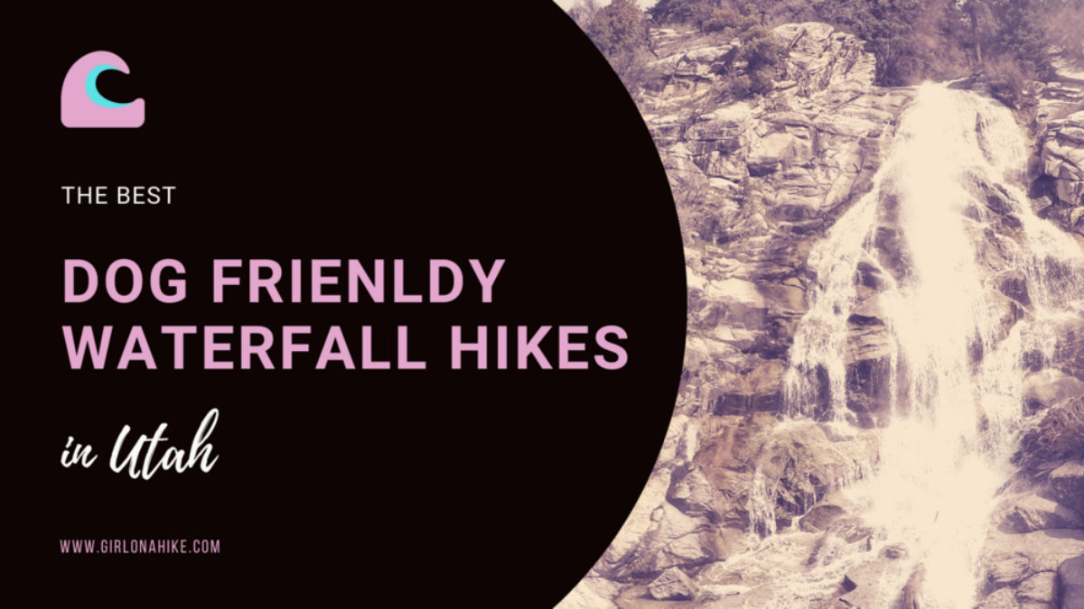 The Best Dog Friendly Waterfalls Hikes in Utah Girl on a Hike