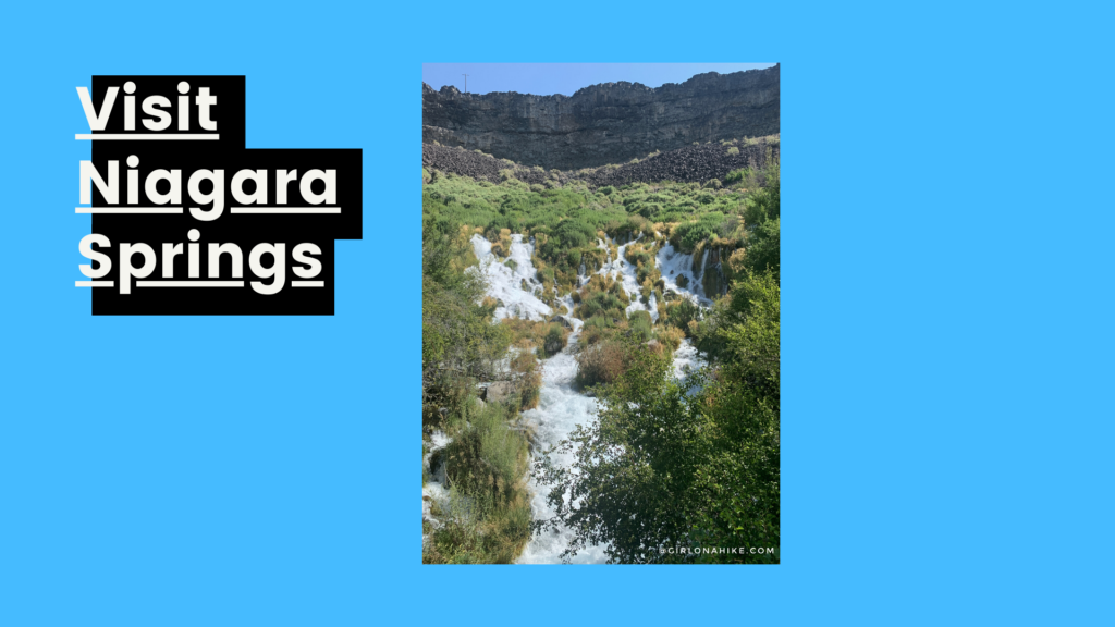 The 6 Best Things to do in Twin Falls, Niagara Springs, Idaho
