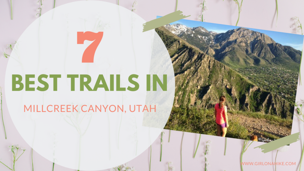 The 7 BEST Trails in Millcreek Canyon